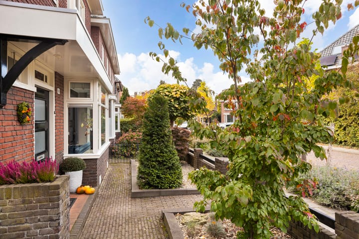 Photo 39 of Richard Holstraat 10