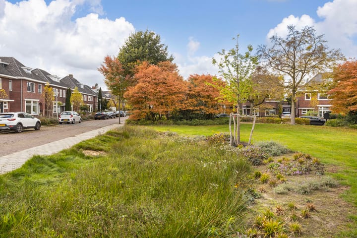 Photo 41 of Richard Holstraat 10