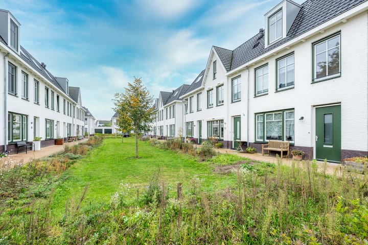 Foto 36 van Kaapsehof 19