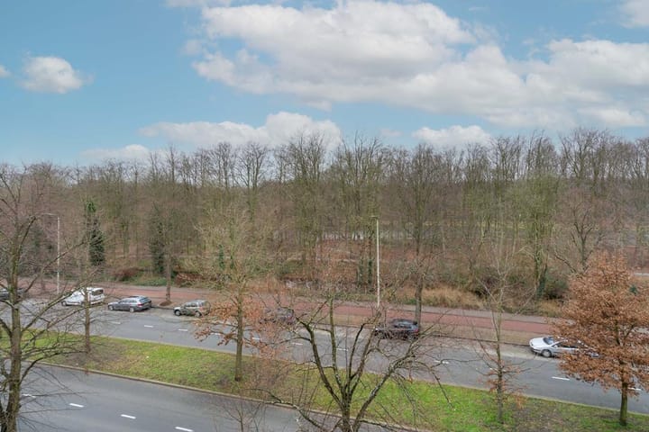 Foto 26 van Bezuidenhoutseweg 265-B3