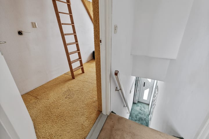 Photo 29 of Optwizel 47