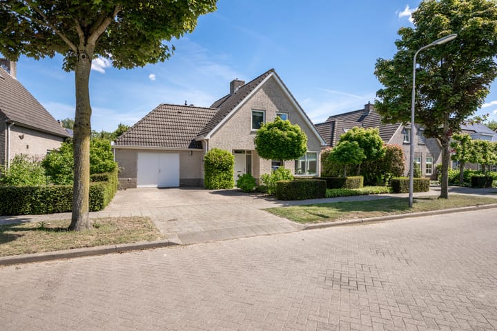 Foto 5 van Borgvliet 13