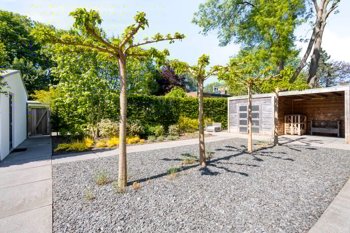 Photo 38 of Dawson-Nes 3