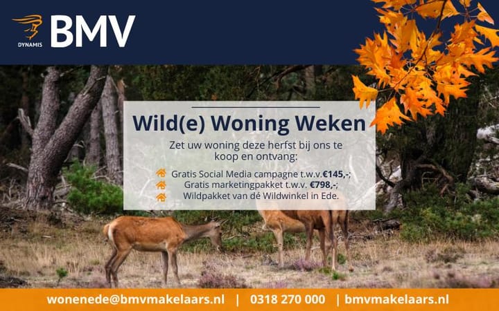 A promotional picture for the office