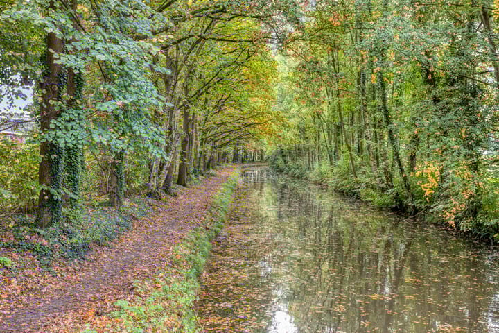 Photo 29 of Bruggertstraat 317