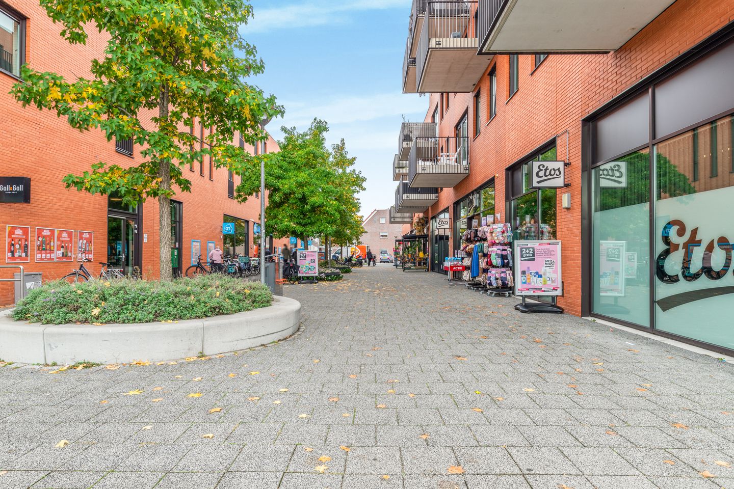 Foto 35 van Rijnstraat 33