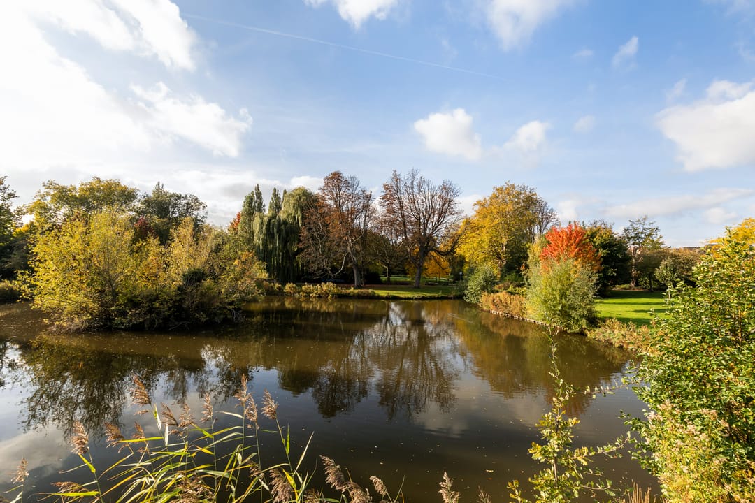 Foto 47 van Kleine Buitenweide 83