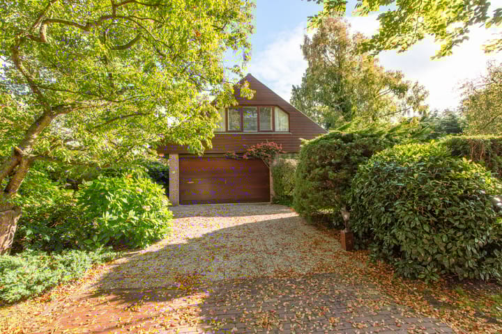 Foto 3 van Jan Ruslaan 5