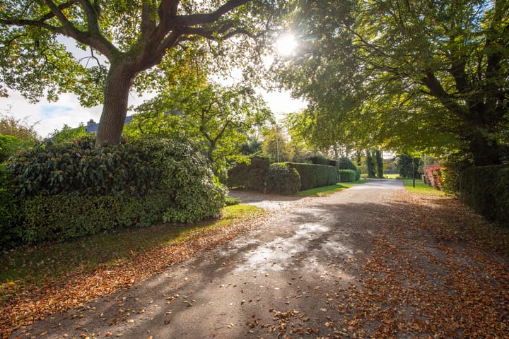 Foto 63 van Jan Ruslaan 5