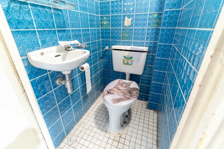 Foto 18 van Van Speijkstraat 128-A