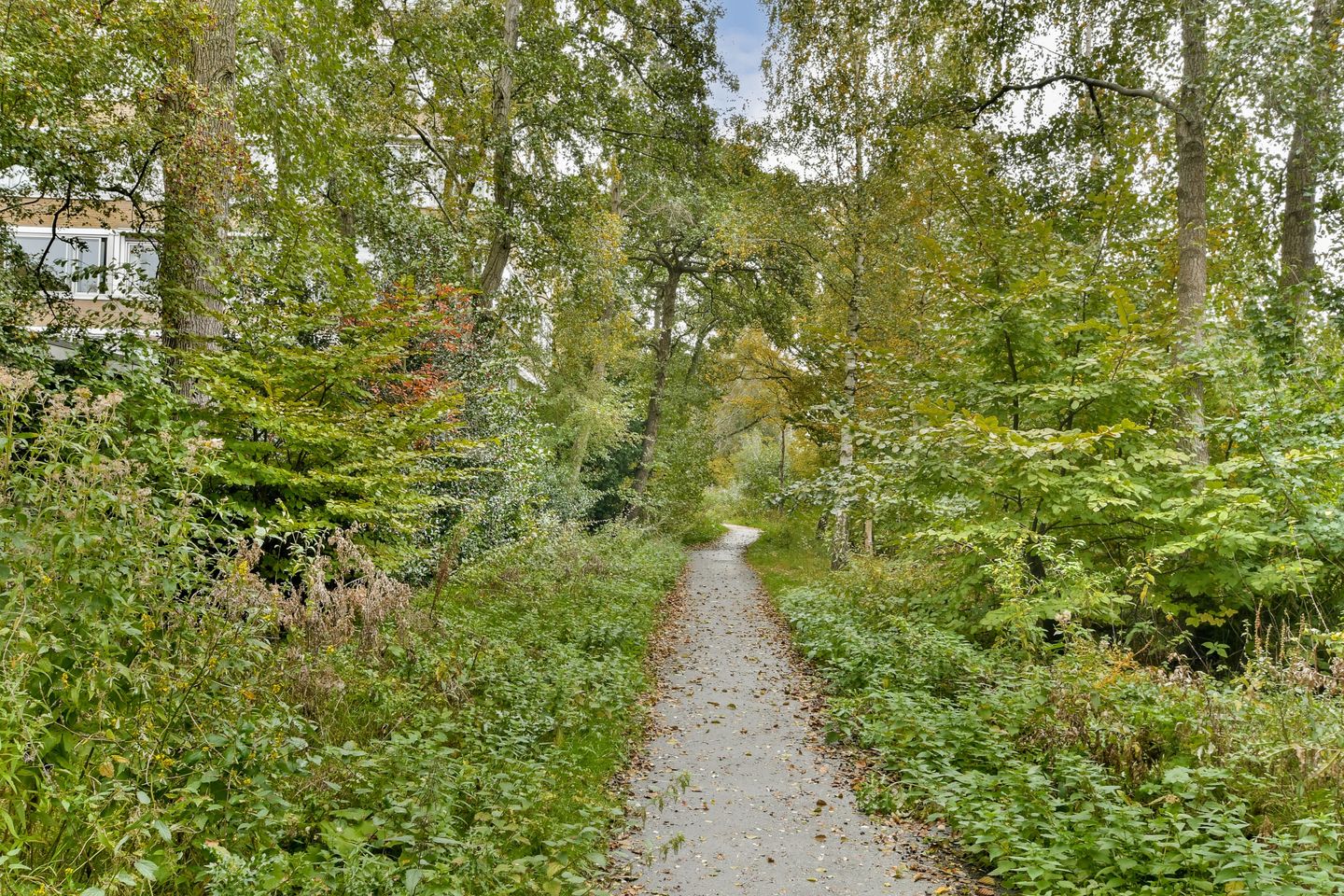 Photo 20 of Meander 367