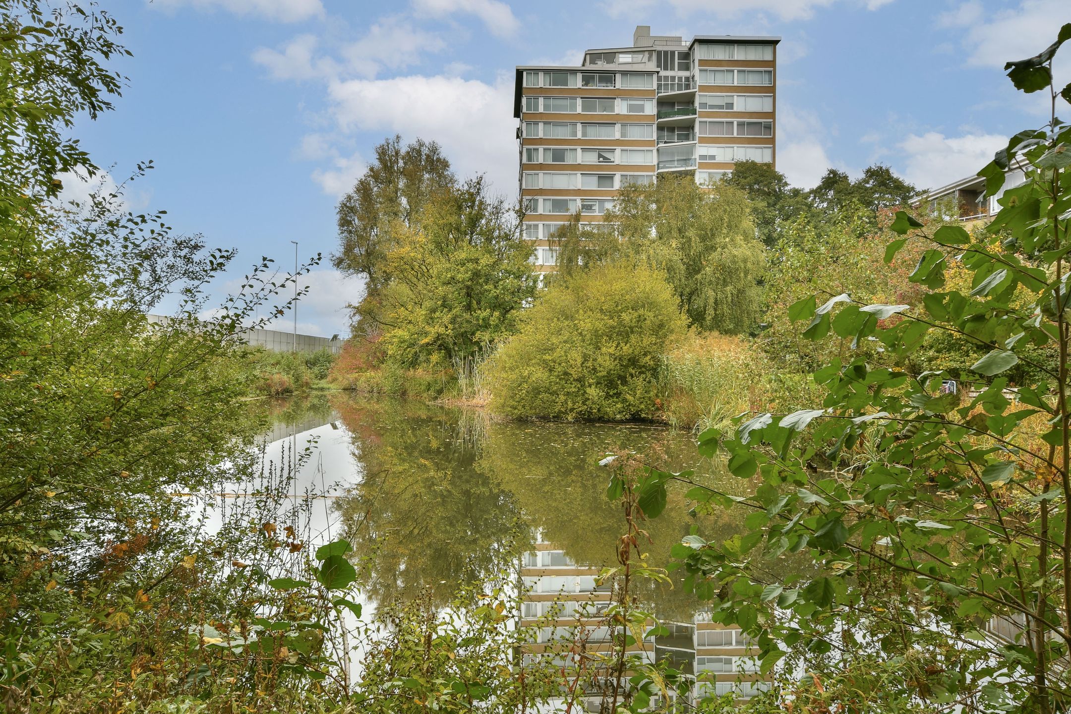 Photo 21 of Meander 367
