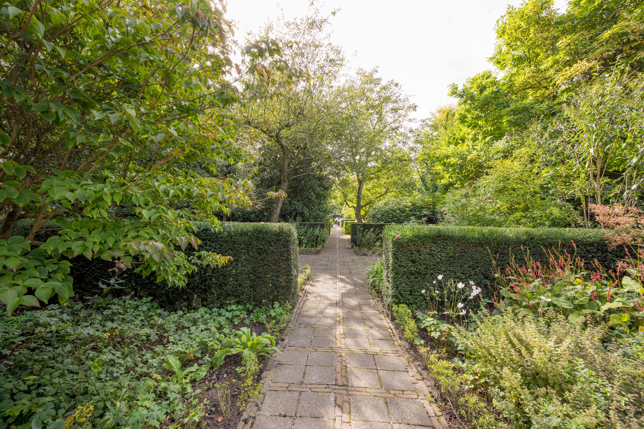 Foto 75 van Langestraat 35