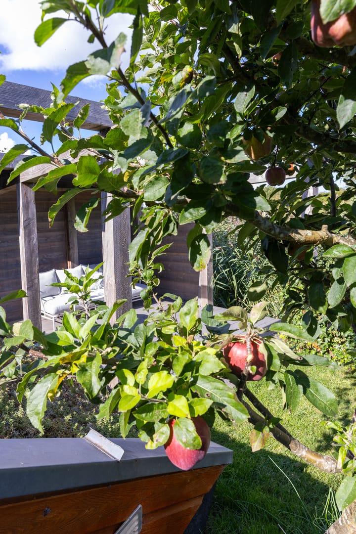 Foto 56 van John Raedeckerhof 203