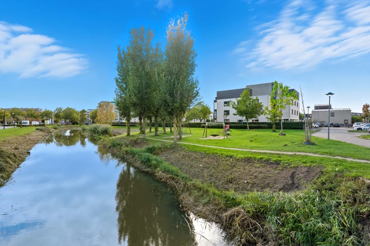 Foto 36 van Lavendelveld 88