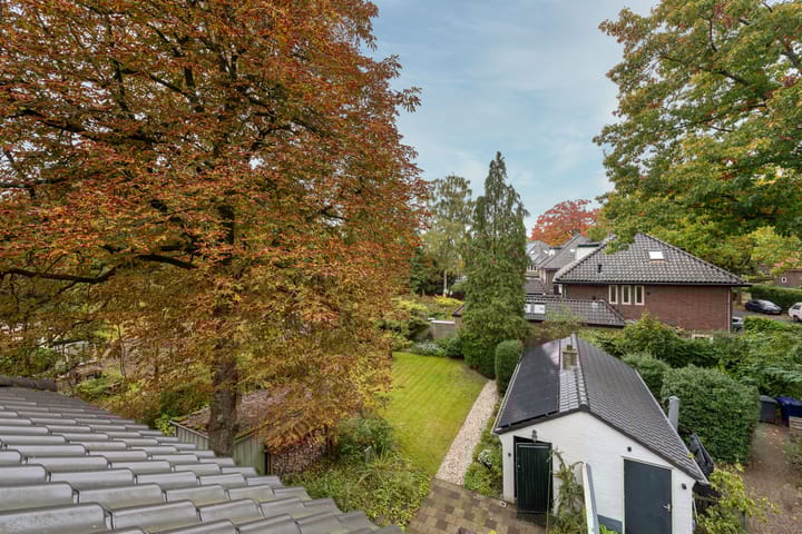 Foto 50 van Berkenlaan 31