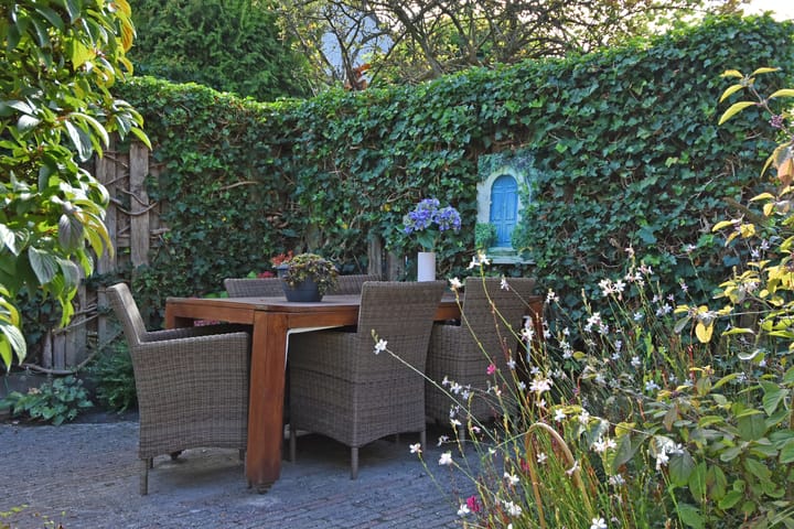 Photo 18 of Rosa Manuslaan 25