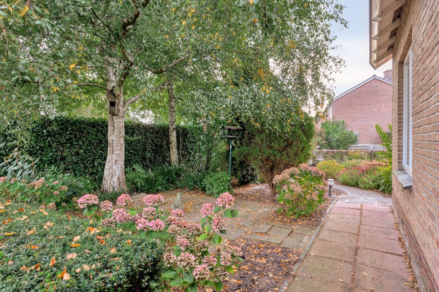 Foto 20 van Zaagmolenstraat 42