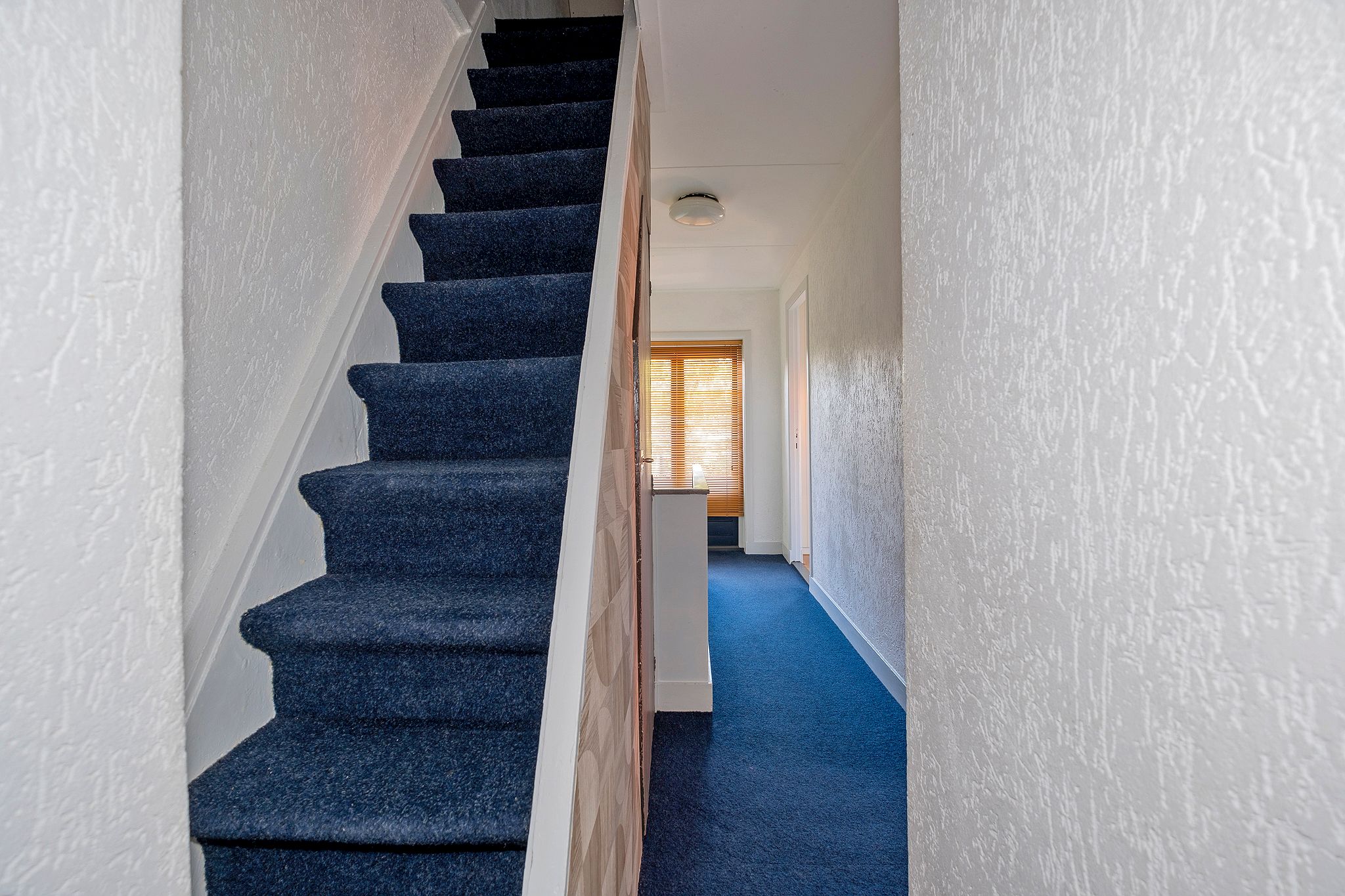 Foto 45 van Meerstraat 17