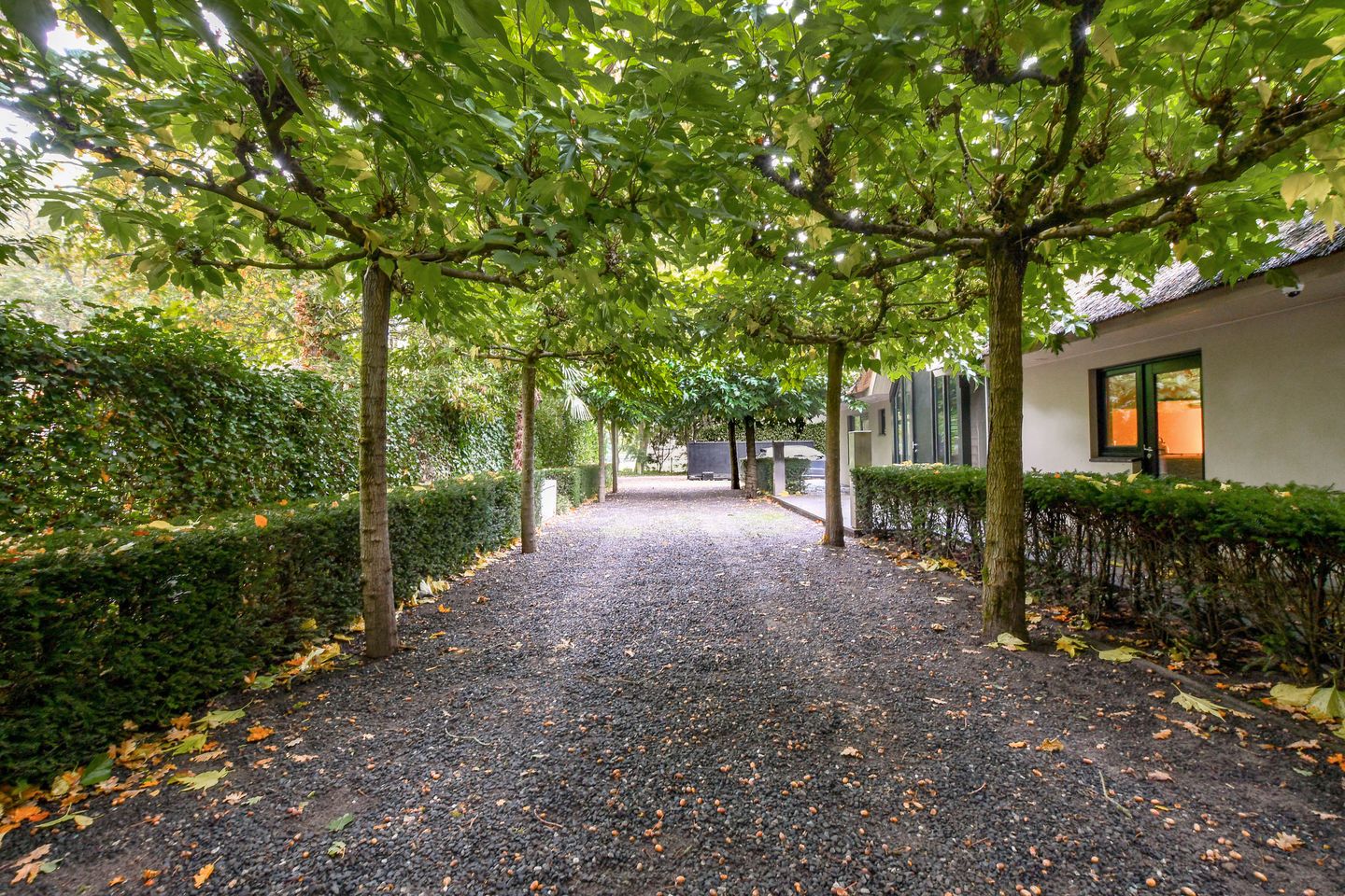 Photo 44 of Agter Kampen 2