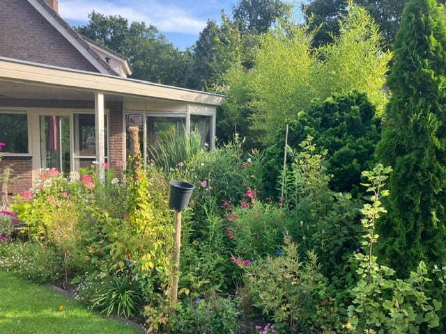 Foto 5 van Reehorst 13