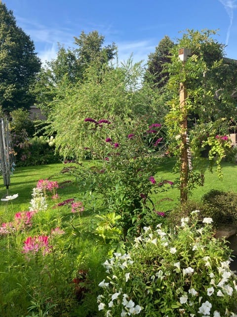 Foto 21 van Reehorst 13