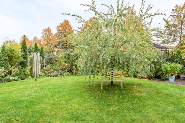 Foto 4 van Reehorst 13