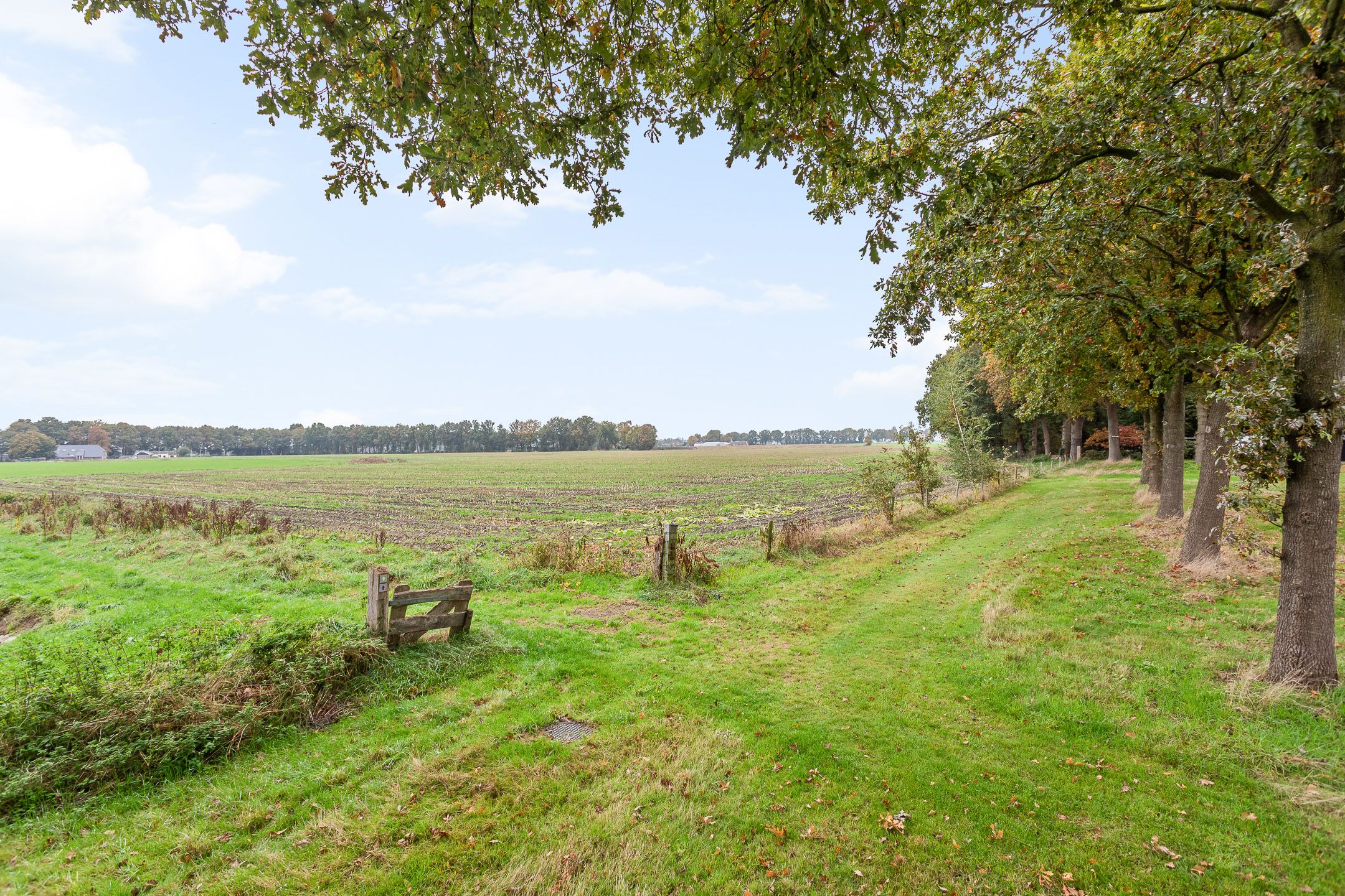 Foto 24 van Reehorst 13