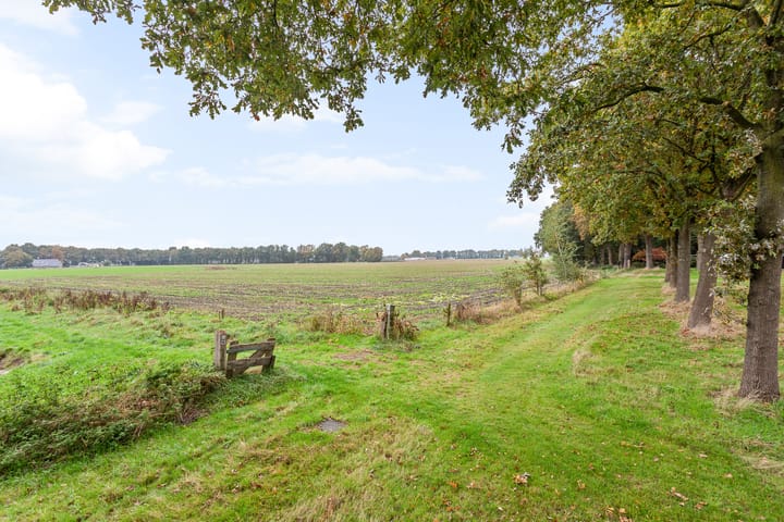 Foto 24 van Reehorst 13