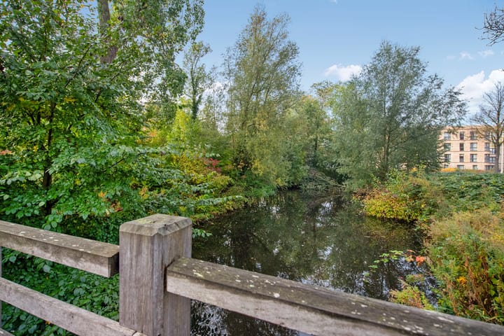 Foto 46 van Rhijnesteinstraat 16