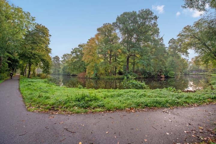 Foto 47 van Rhijnesteinstraat 16