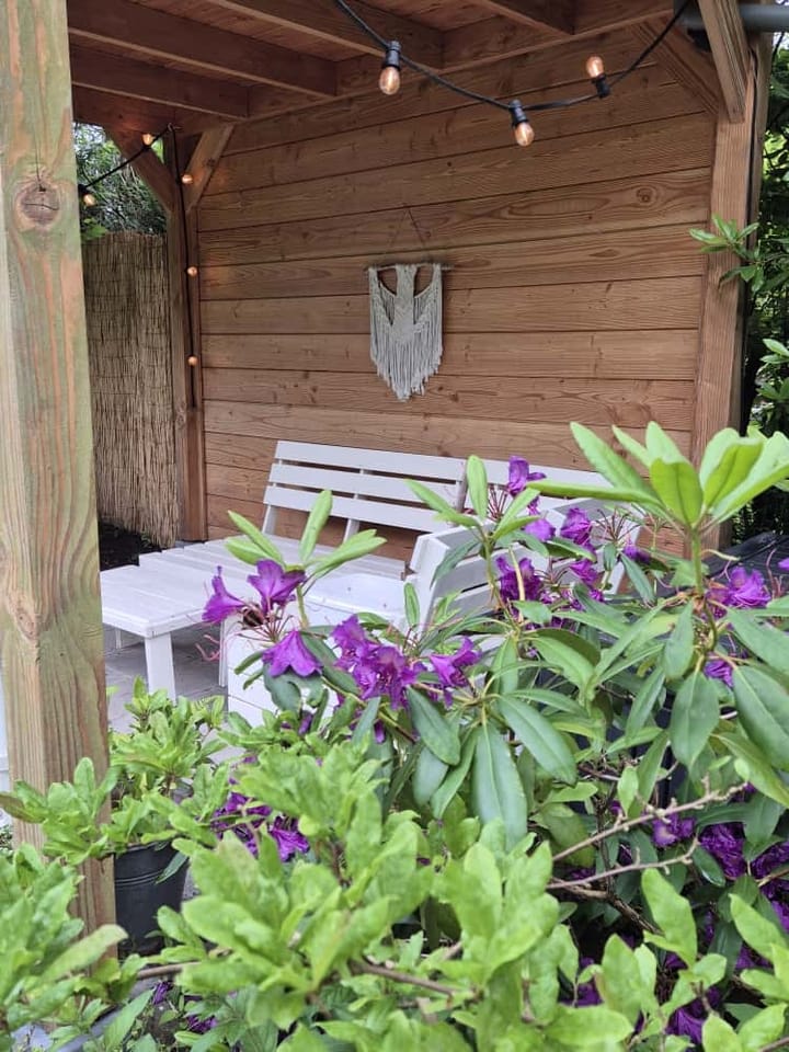 Foto 28 van Zilverlaan 50