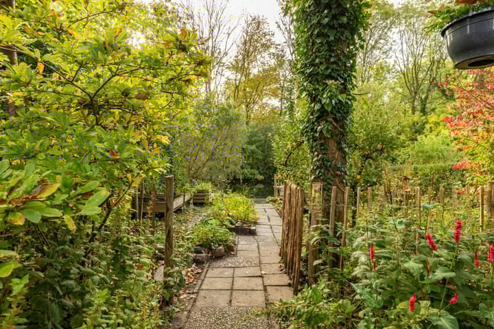 Foto 30 van Zilverlaan 50