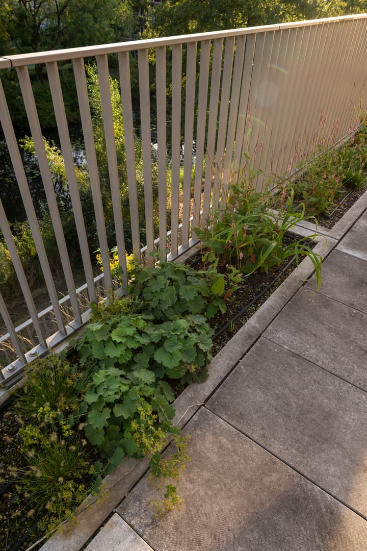 Foto 9 van De Klencke 91-A