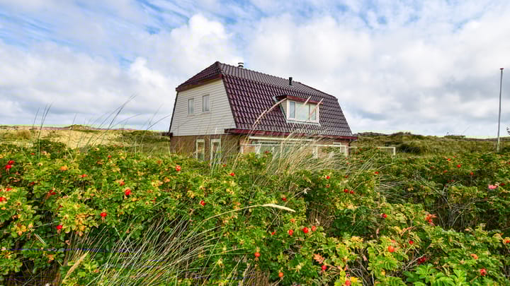 Foto 3 van Midsland aan Zee 406