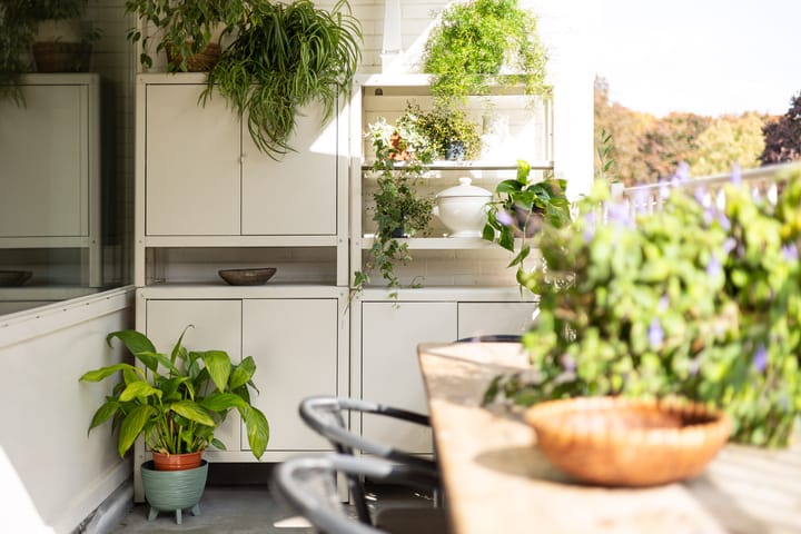 Foto 21 van Adriaen Willaertstraat 31