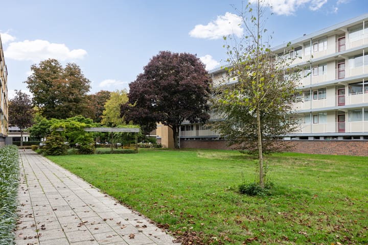 Foto 44 van Adriaen Willaertstraat 31