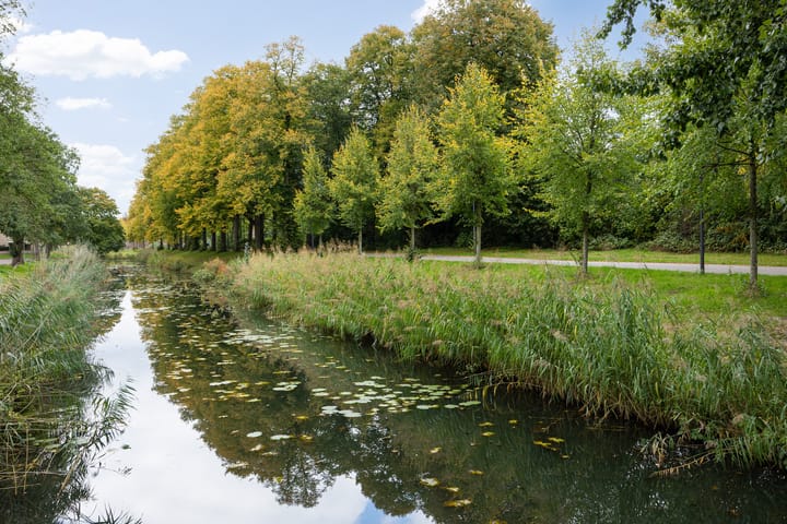 Foto 48 van Adriaen Willaertstraat 31