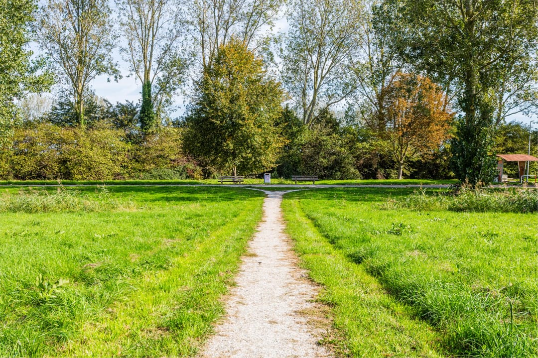 Foto 52 van Meindert Hobbemastraat 81