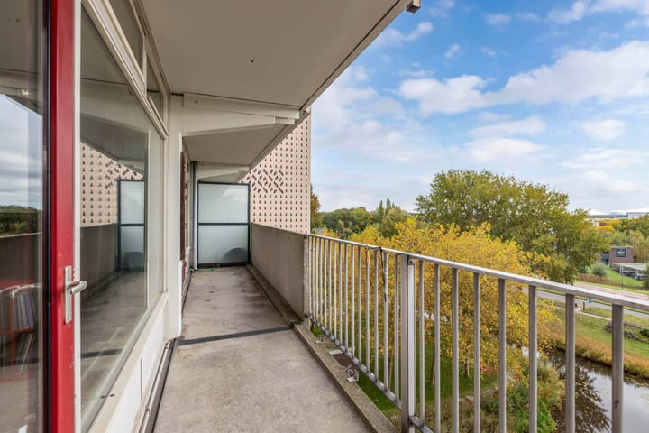 Foto 13 van Tjaarda 54