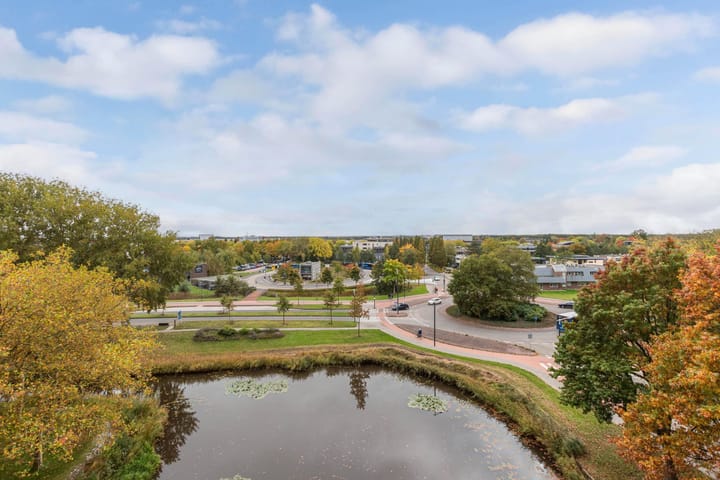 Foto 14 van Tjaarda 54