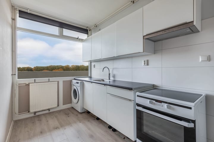 Foto 15 van Tjaarda 54