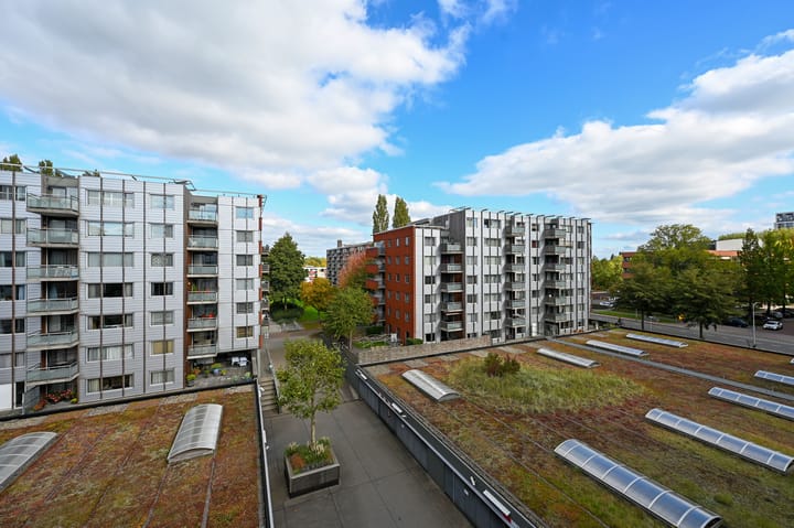 Foto 18 van Laan van Deshima 58