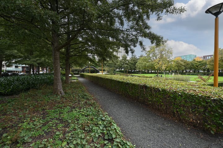 Foto 25 van Laan van Deshima 58