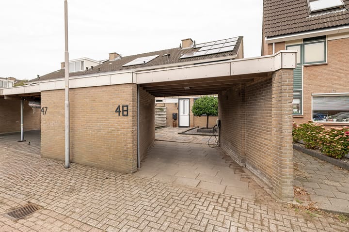 Foto 4 van Akelei 48