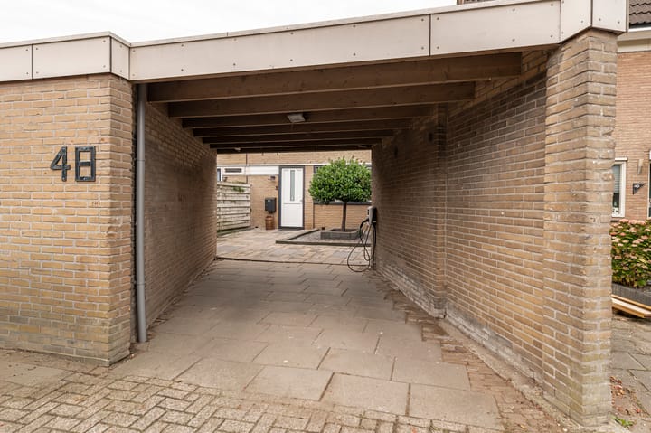 Foto 30 van Akelei 48