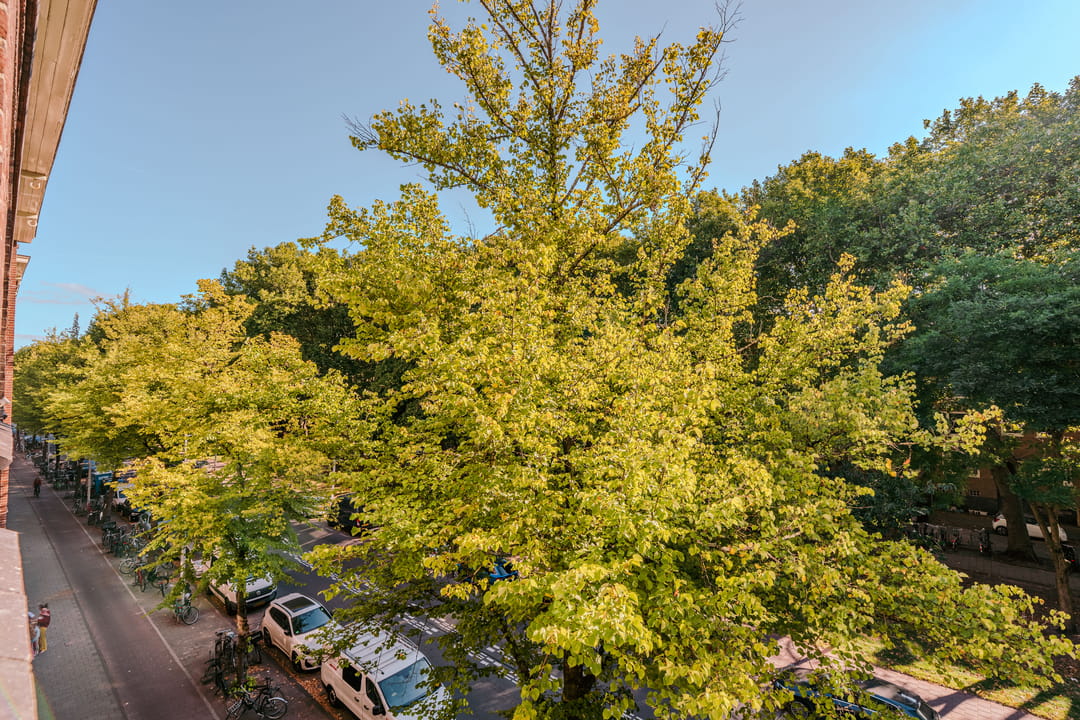 Photo 11 of Willem de Zwijgerlaan 81-3