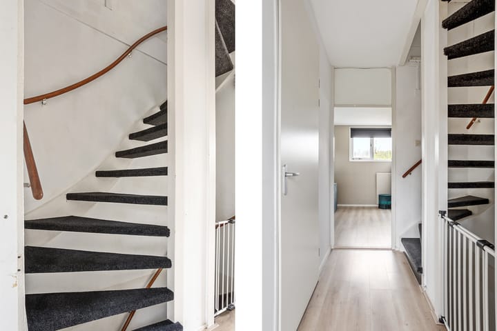 Photo 21 of Salamandersloot 13