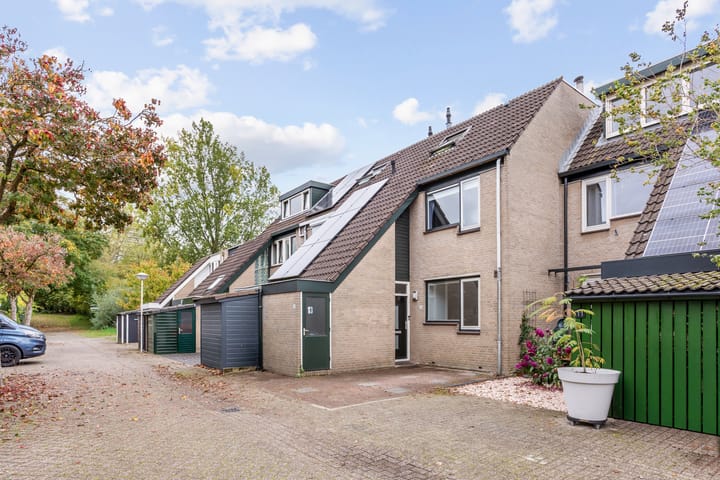 Photo 32 of Salamandersloot 13