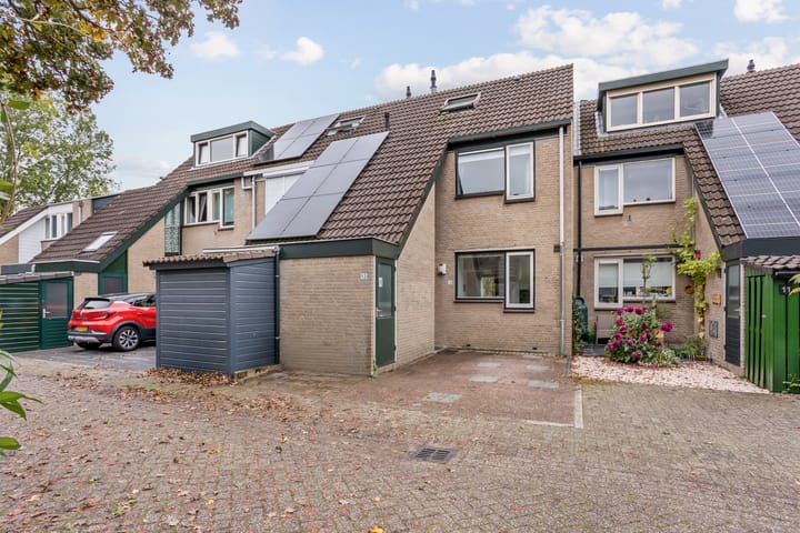 Photo 33 of Salamandersloot 13